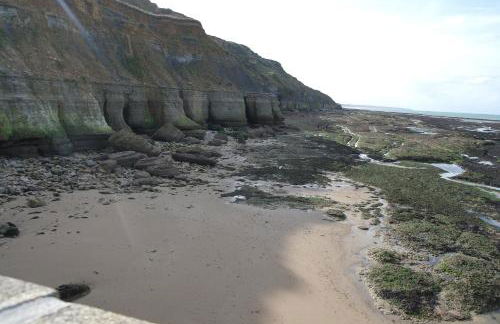 La Petite Goulette - Foto 15