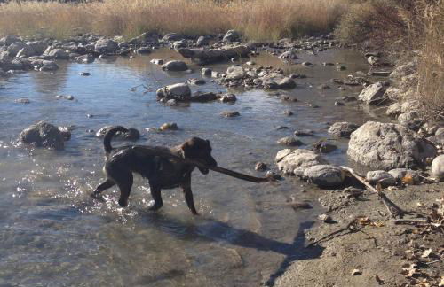 Chalet les Blancs - Foto 27