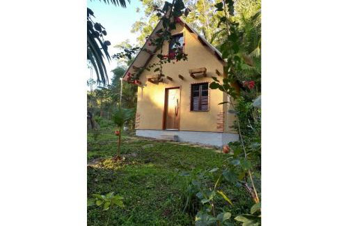 Sitio Libardo em Meio a Natureza - Nova Trento - Foto 114