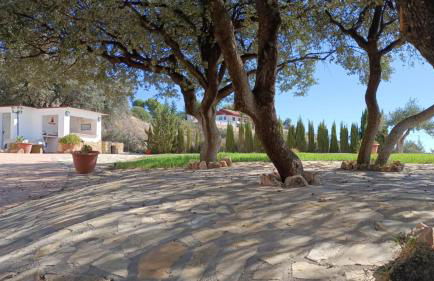 Paraje el Cerro de Íllora - Foto 10