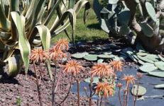 Appartement & Spa - Panoramic Olivars - Foto 29