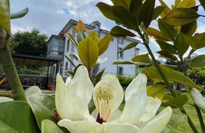 Villa Marta Casa de Indianos Passive House - Foto 32