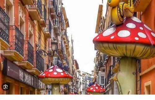 Big Terrace in private Loft on San Francisco street - Photo 13