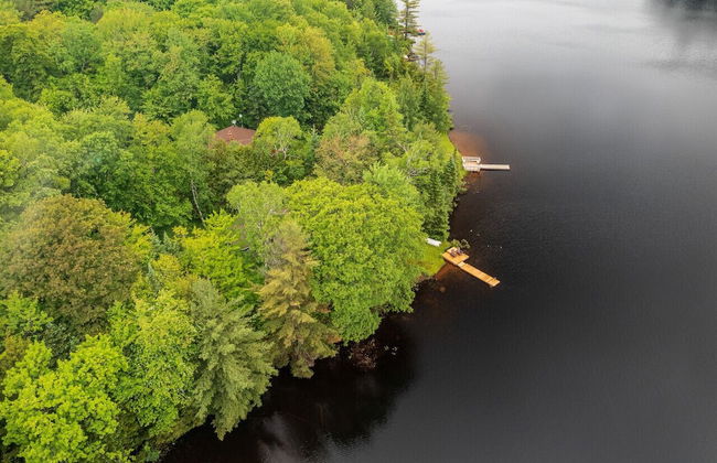 Bear Essentials Lakefront Hideaway - Foto 45