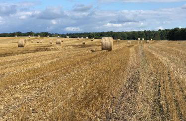 Ferienwohnung Basthorst - Foto 10