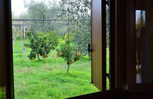 Agriturismo Biorussi - Photo 50