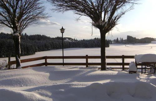 Gasthof Grüner Baum "Kongo" - Foto 10