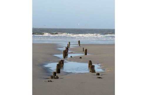 Duenem-Odde-OG-li - Foto 30