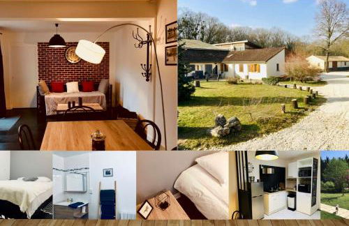 Gite Ecuries Vineuil Jump - Foto 36