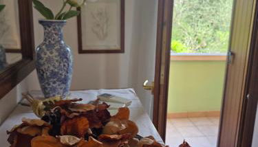 REGINA GARDESANA Luxury - Photo 5