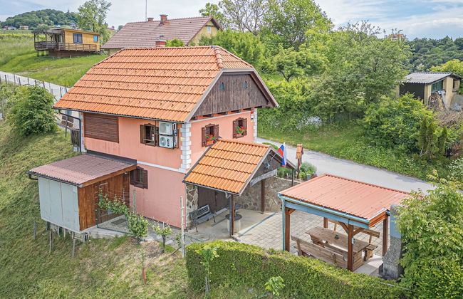 Vineyard Cottage Vesna Lake View - Foto 22