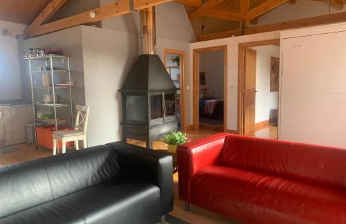 casa rural de un artista en plena naturaleza piscina y parque de esculturas en villarcayo - Photo 41