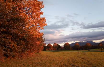 Ferienwohnung Elisabeth - Foto 24