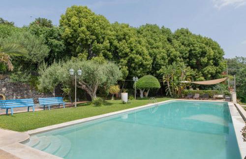 Tenuta Santa Tecla - Foto 6