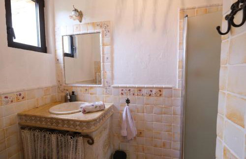 luxury mas with private infinity pool in the heart of the alpilles, 10 persons - Foto 56