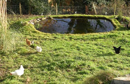 The Pigsty Cottage E2783 - Foto 12