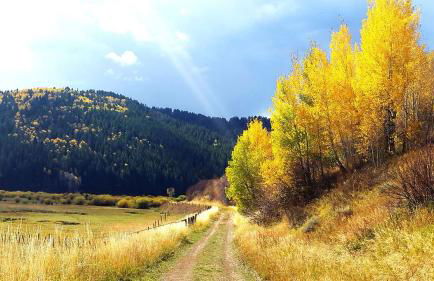 Charming Vacation Rental for Large Groups near Yellowstone National Park, Wyoming - Foto 9