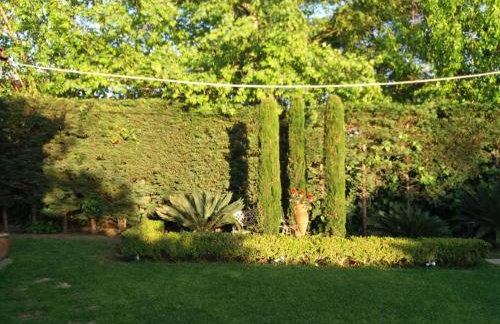 Peter's Country House - Foto 20