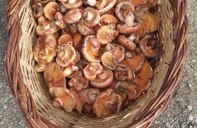 Apartamento vacacional - Foto 44