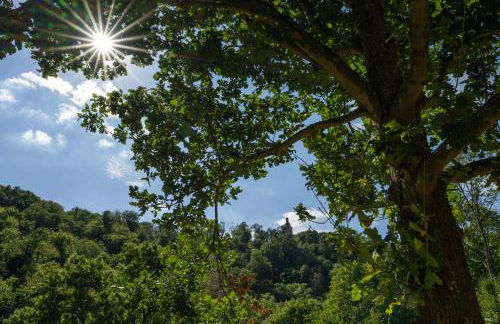 Thalmühle - Foto 24