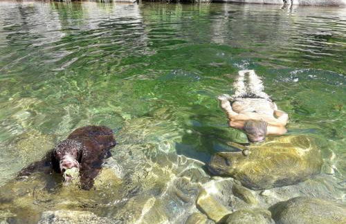 Apartamentos Rurales Ecopangea - Foto 11