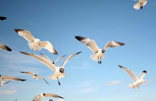 WI30 River View Suites 203 & 204 - Foto 51