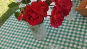 Rifugio Valentina - Foto 2, Garden