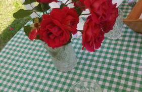 Rifugio Valentina - Foto 2