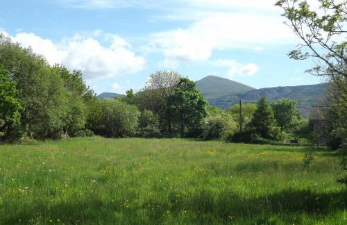 Perthi Uchaf - Foto 22