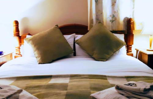 Pwllgwilym B & B - Foto 14