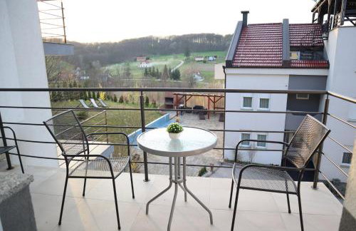 Apartment Vesna Toplice Sveti Martin - Foto 15