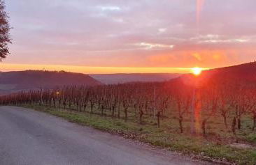 Birkennest - Foto 21