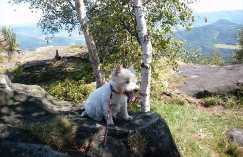 Apartment in Rabenau 3121 - Foto 19