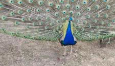 Greystones nawab units a c sleep10 buxton in peak park - Foto 5