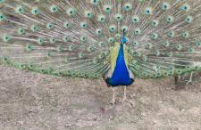 Greystones nawab sleep 6 C buxton in peak park - Foto 13