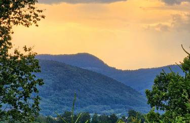 Osada Sierpnica - Uroczy dom z kominkiem i balią w Górach Sowich - Foto 52