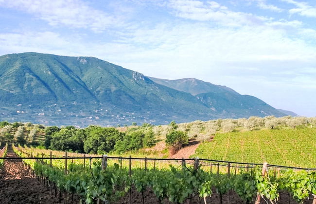 Domus Incantada - Foto 19