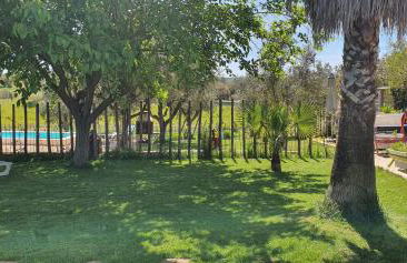 Monte das Aranhas - Foto 23