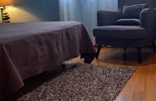 Daniel's Rooms - Foto 2