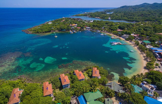 Coral Vista #5 - Foto 19