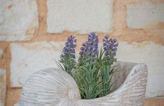 Villa Chara Chania - Photo 44