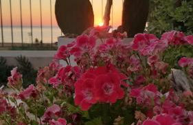 stella di ponente - Foto 9