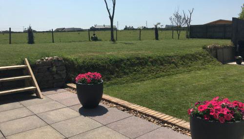 Buena Vista - Foto 4, Garden