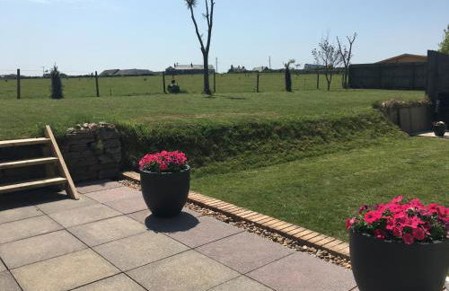 Buena Vista - Foto 4