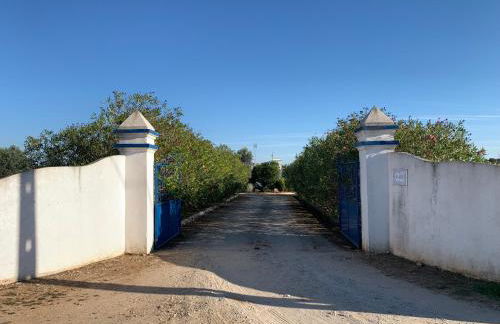 Quinta do Céu Tranquilidade e Piscina no Alentejo - Foto 48