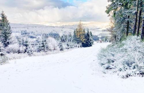 Terrace Retreat in Winterberg - Foto 34