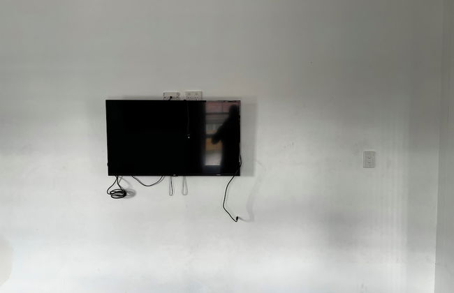 The Palm Hamilton Backpackers - Photo 15