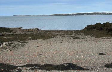 Colonels Quarters - Photo 21