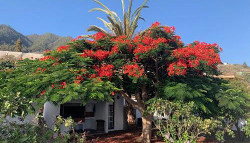 Casitas Rosheli - Foto 3, Garden