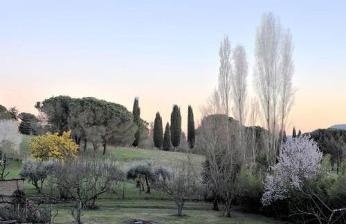 Il Maestro e l'Innamorata - Foto 35